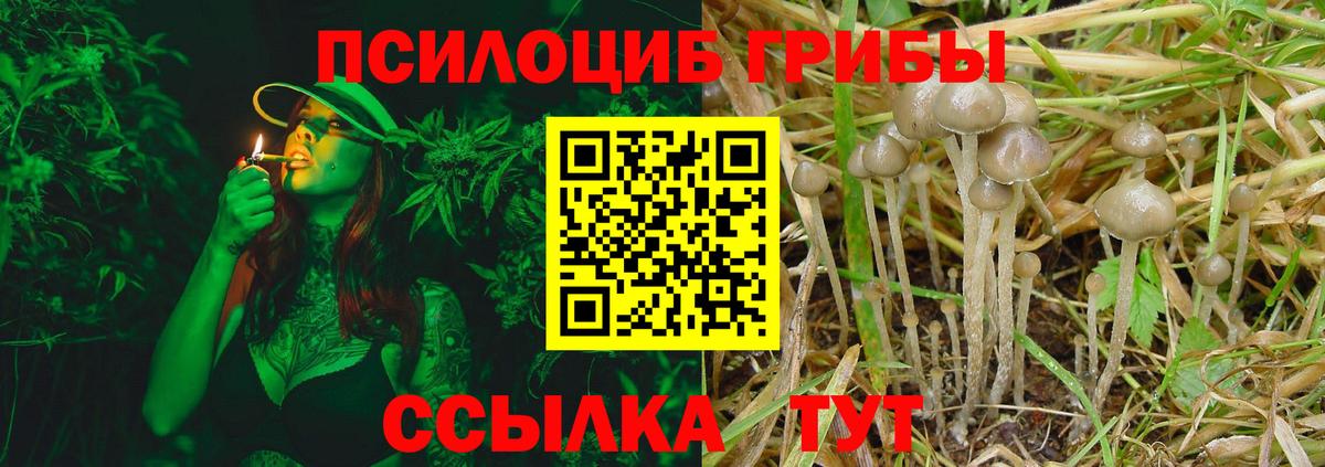 хочу   Вход с VPN  Камень-на-Оби  Галлюциногенные грибы ЛСД  Галлюциногенные грибы Psilocybine cubensis 