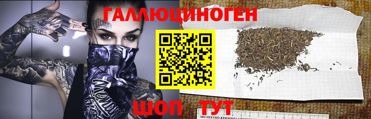Псилоцибиновые грибы мухоморы Камень-на-Оби